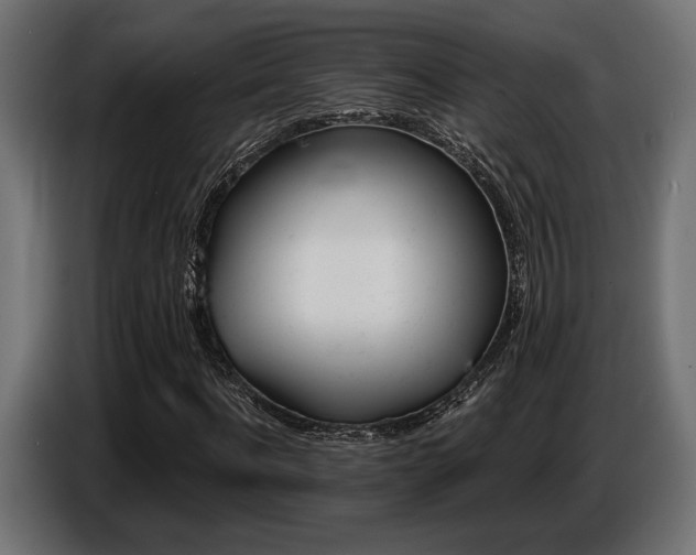 X0000087680916200705041026