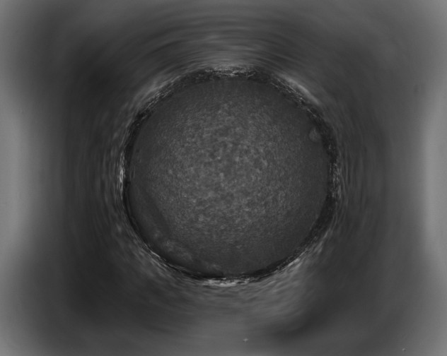 X0000087680917200705041026