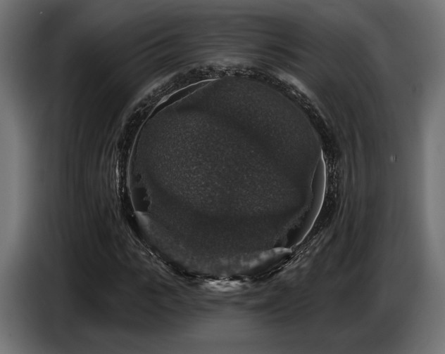 X0000087680919200705041026