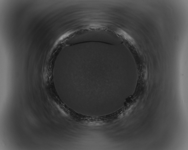 X0000087680920200705041026