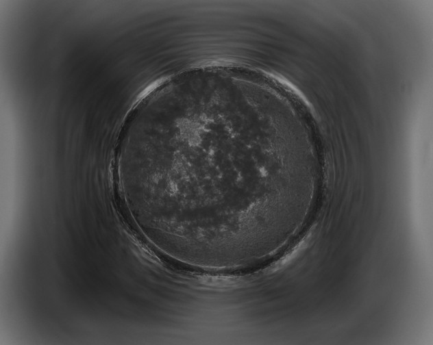 X0000087680921200705041026