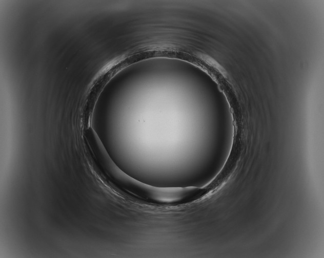 X0000087680922200705041026