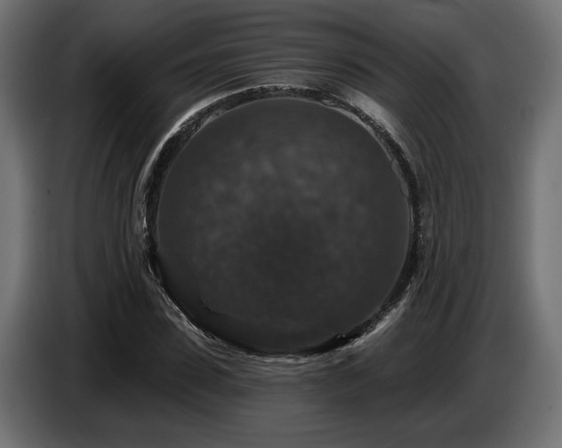 X0000087680923200705041026