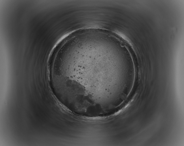 X0000087680925200705041026