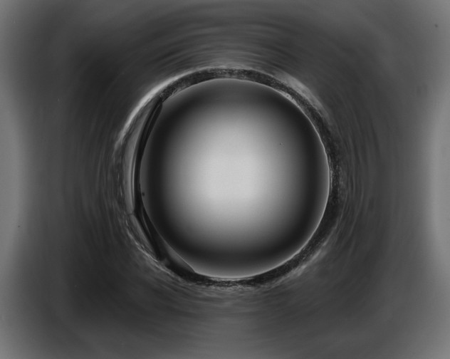 X0000087680926200705041026
