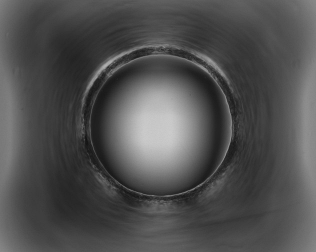 X0000087680927200705041026