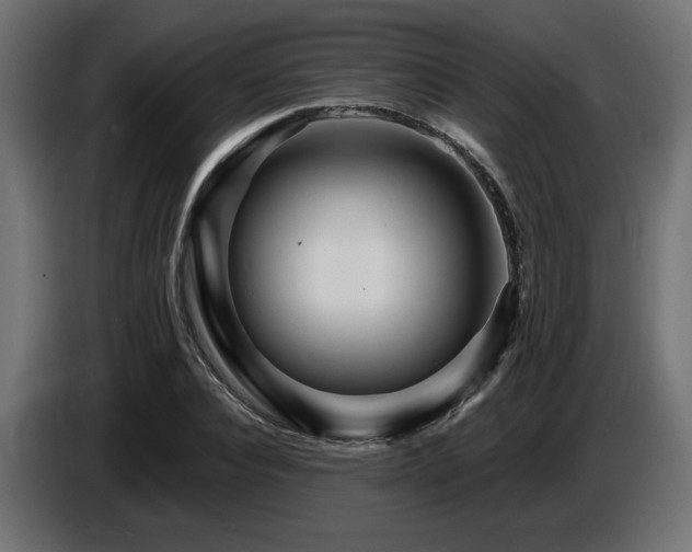 X0000087680928200705041026