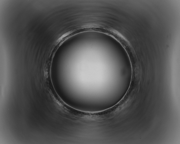 X0000087680929200705041026