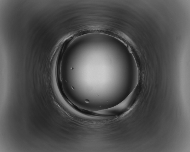 X0000087680930200705041026