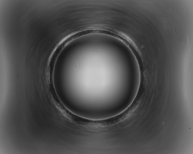 X0000087680931200705041026