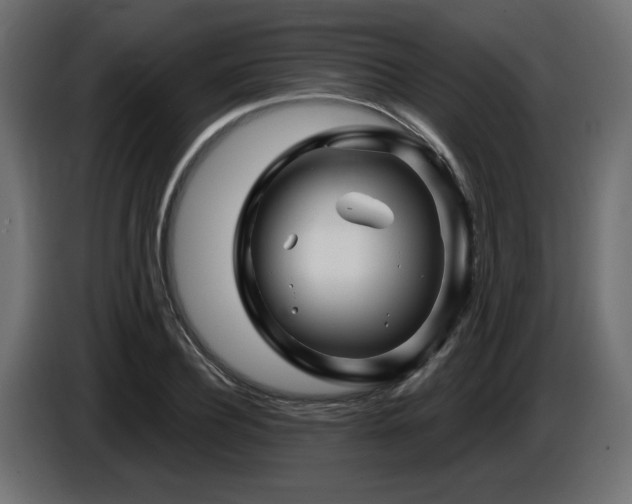 X0000087680932200705041026