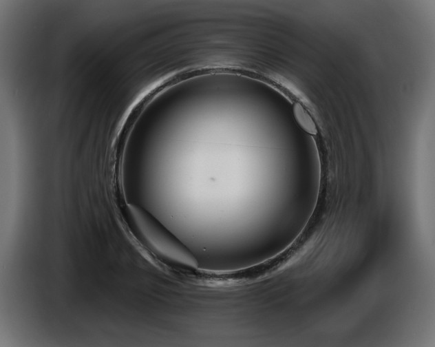 X0000087680933200705041026