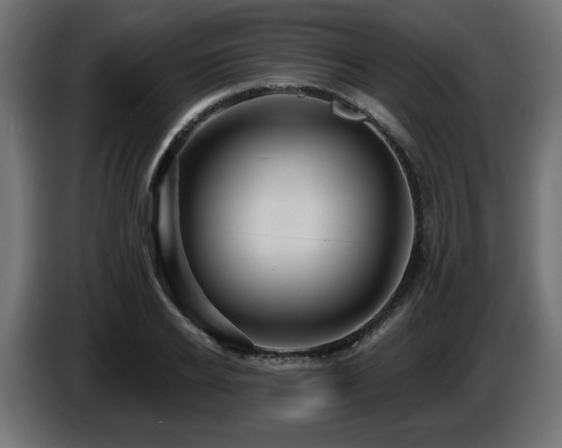 X0000087680934200705041026