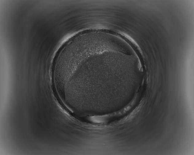 X0000087680935200705041026