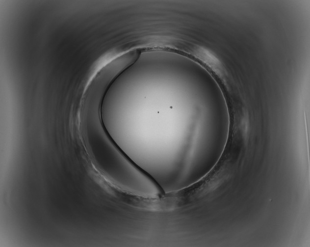 X0000087680936200705041026