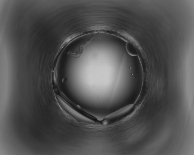 X0000087680937200705041026