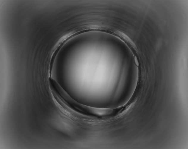 X0000087680938200705041026