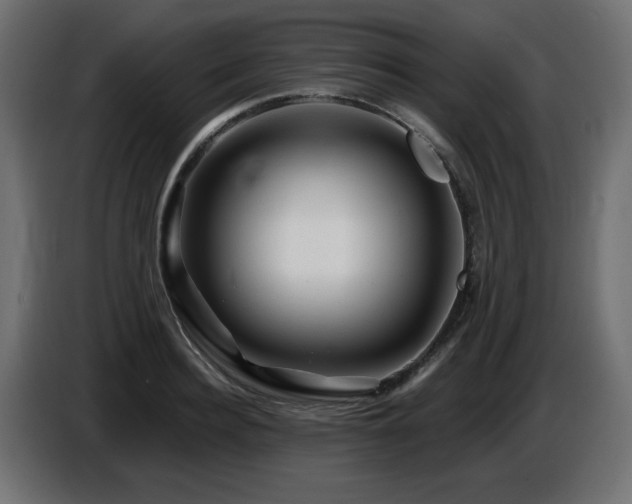 X0000087680940200705041026