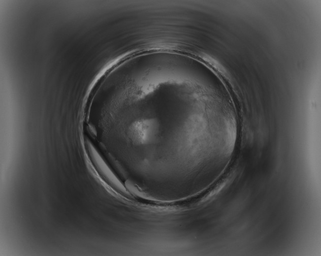 X0000087680941200705041026