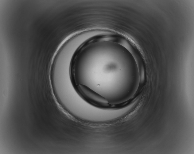 X0000087680942200705041026
