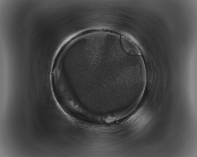 X0000087680943200705041026