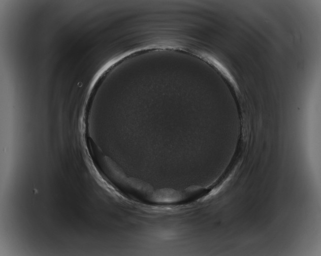 X0000087680944200705041026