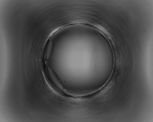 X0000087680945200705041026