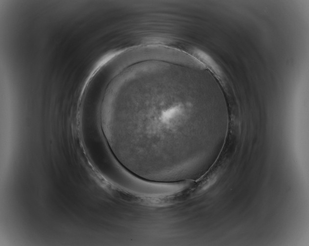 X0000087680948200705041026