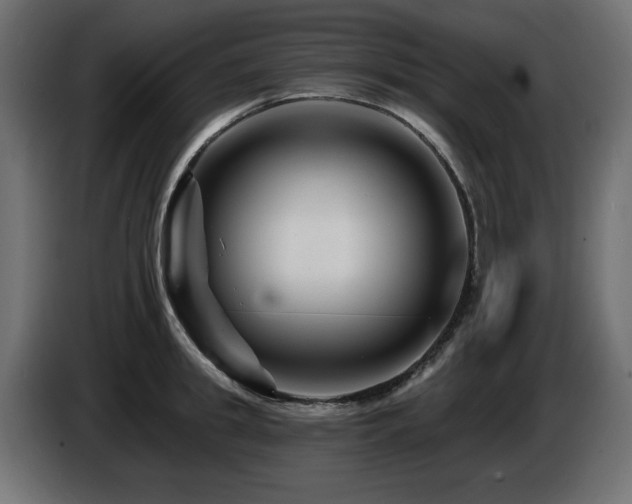 X0000087680949200705041026