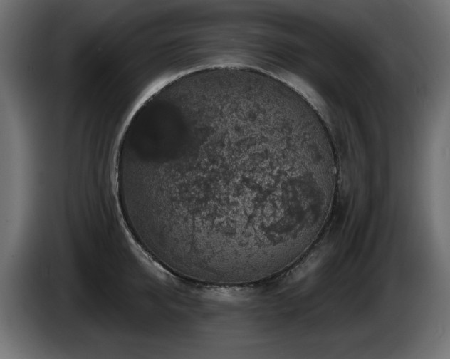 X0000087680950200705041026