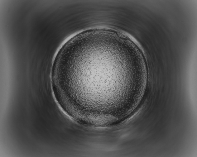 X0000087680951200705041026