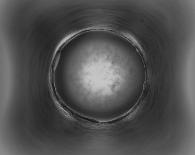 X0000087680952200705041026