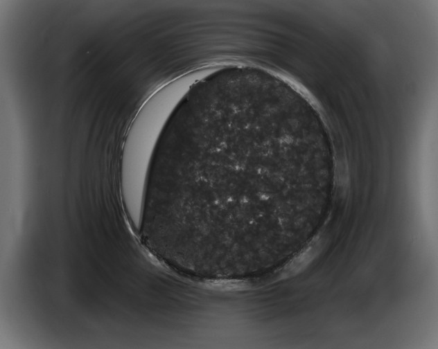 X0000087680953200705041026