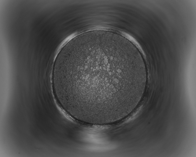 X0000087680954200705041026
