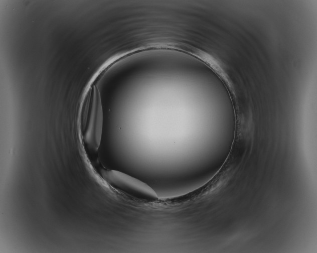 X0000087680955200705041026