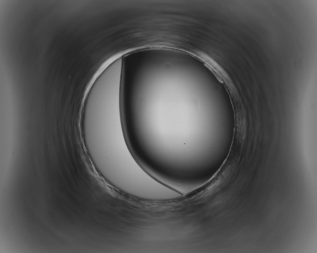 X0000087680956200705041026