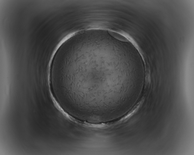 X0000087680957200705041026