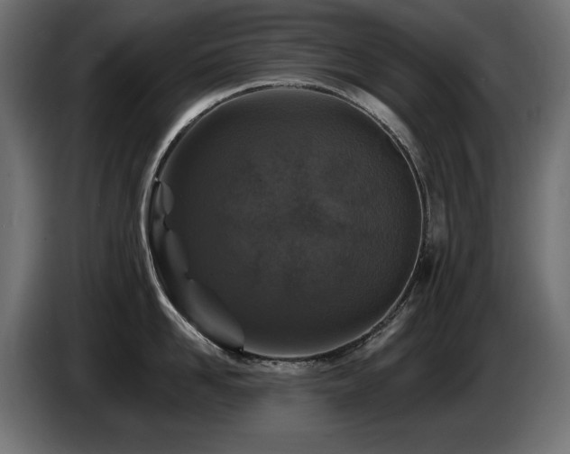 X0000087680958200705041026