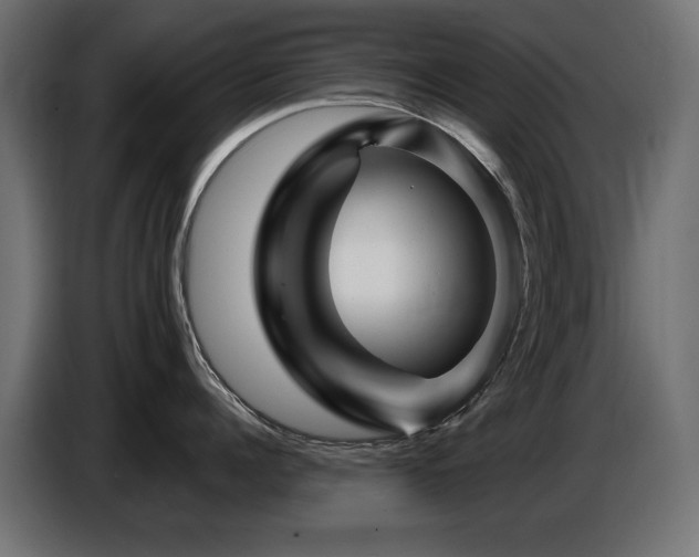 X0000087680960200705041026