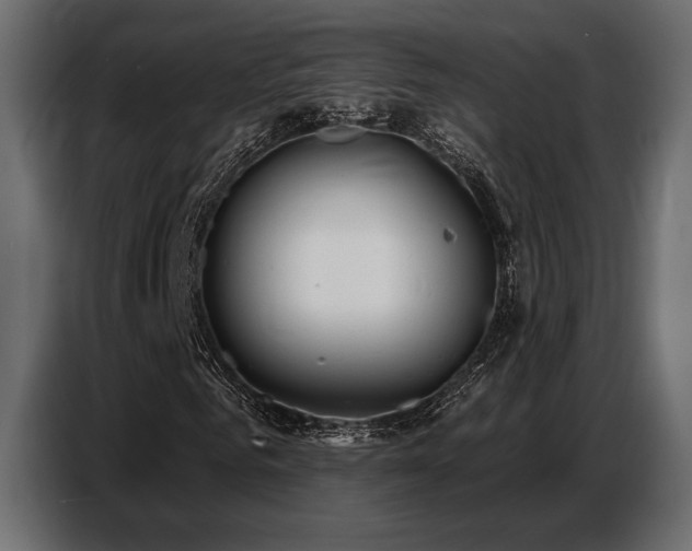 X0000087680961200705041026
