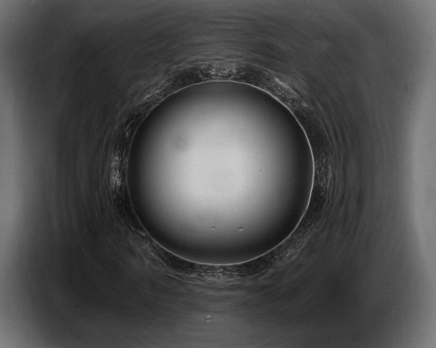 X0000087680962200705041026