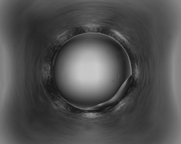 X0000087680964200705041026