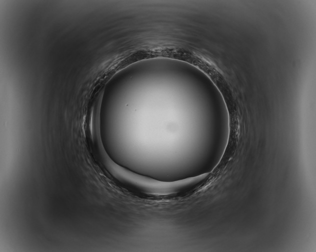 X0000087680965200705041026
