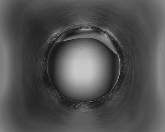 X0000087680967200705041026
