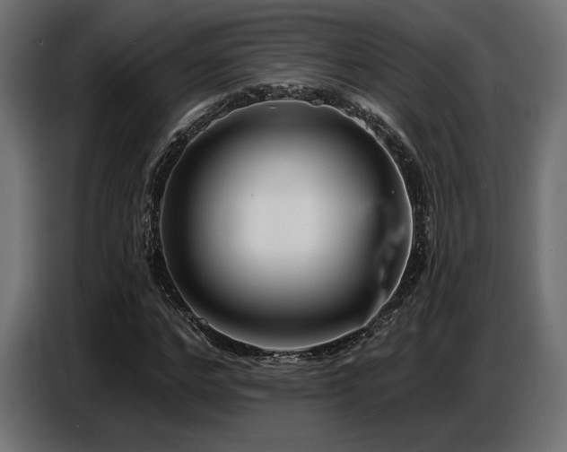 X0000087680968200705041026