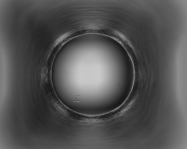 X0000087680970200705041026