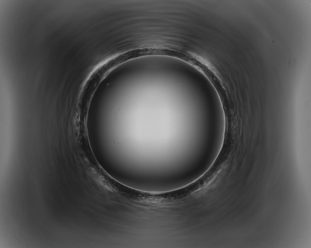 X0000087680971200705041026