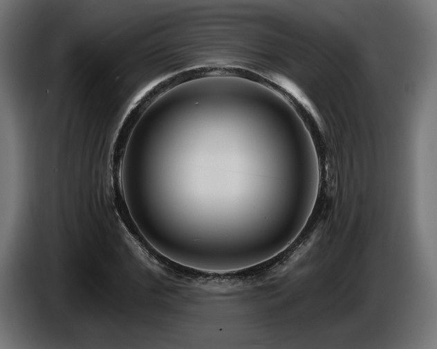 X0000087680972200705041026