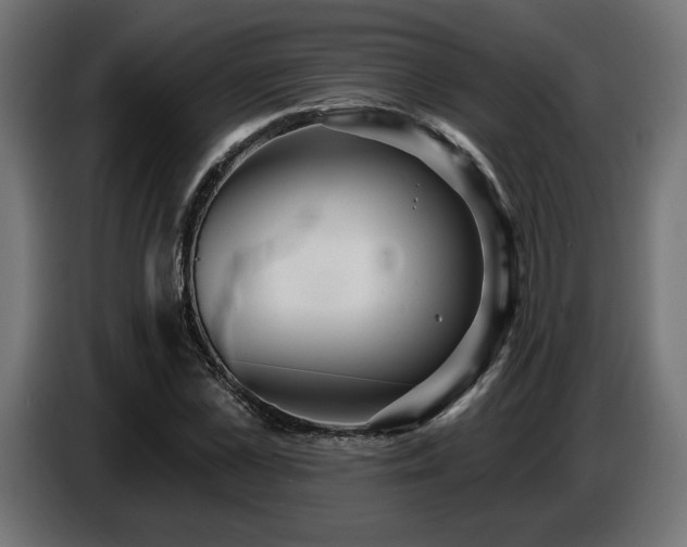X0000087680973200705041026