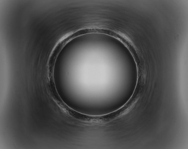 X0000087680974200705041026